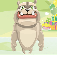 Bulldog sings Happy Birthday song